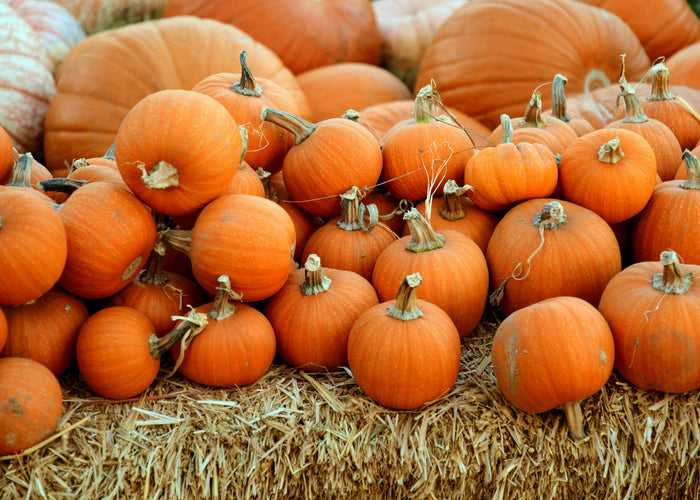 Savoury Organic Halloween Treats: Spooky Party Food Ideas
