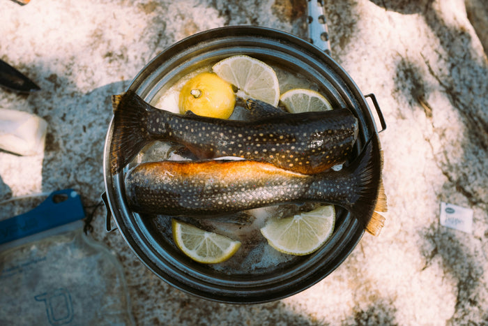 Homemade Salmon Broth with Organic Salmon Frames