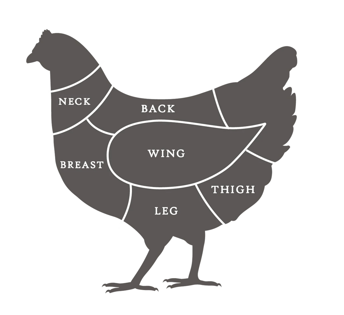 Chicken diagram