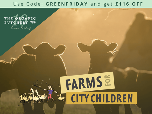 Organic Green Friday Box