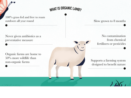 Organic Nitrate-Free Lamb Bacon Lamb The Organic Butchery