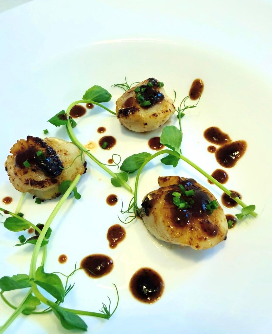 Miso-Glazed King Scallops