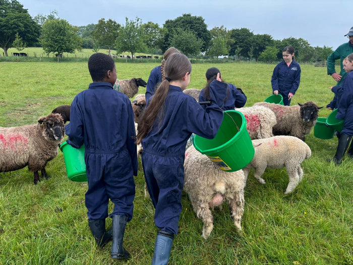 Supporting Farms for City Children this Green Friday