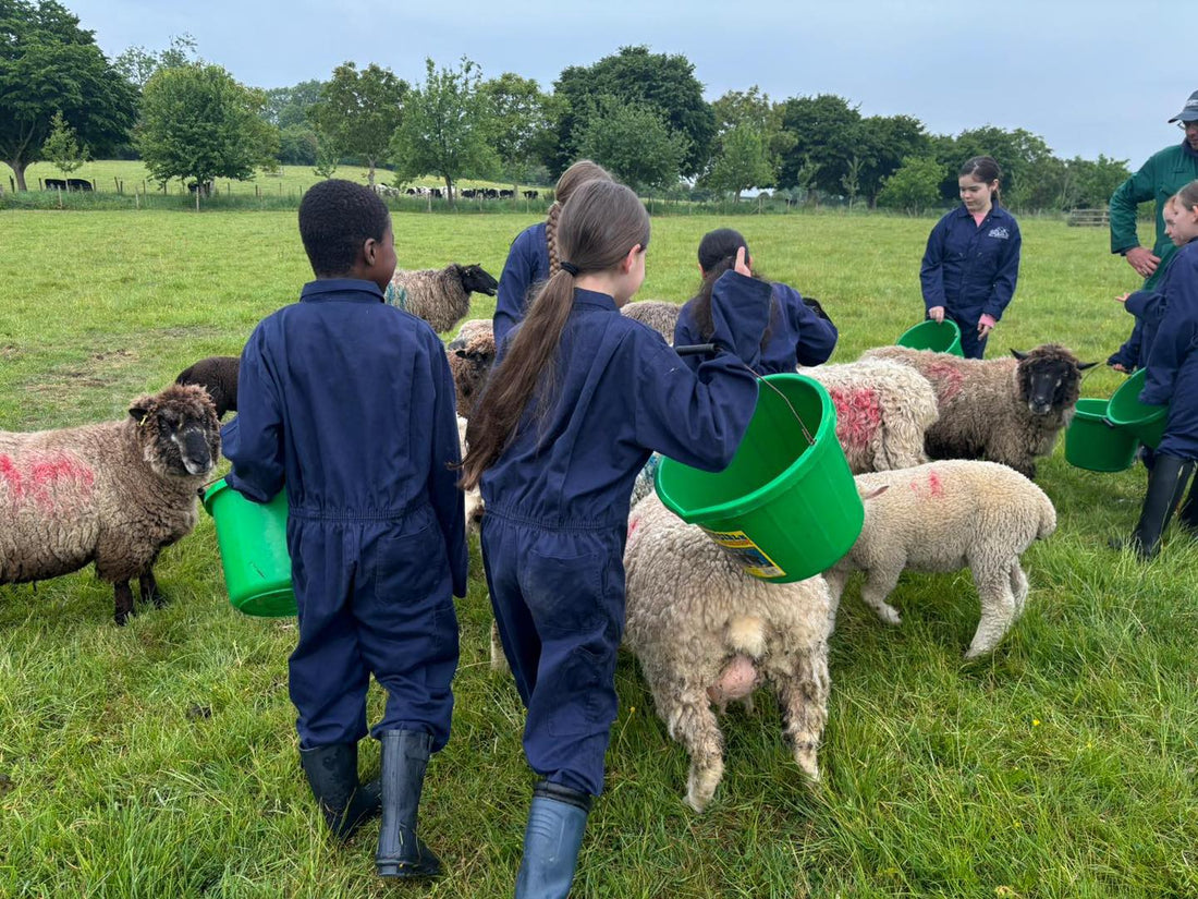 Supporting Farms for City Children this Green Friday