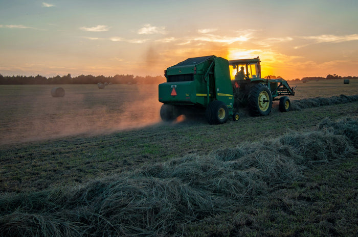 Extreme Heat, Climate Change & British Farming: The Growing Challenges Facing Livestock Farmers