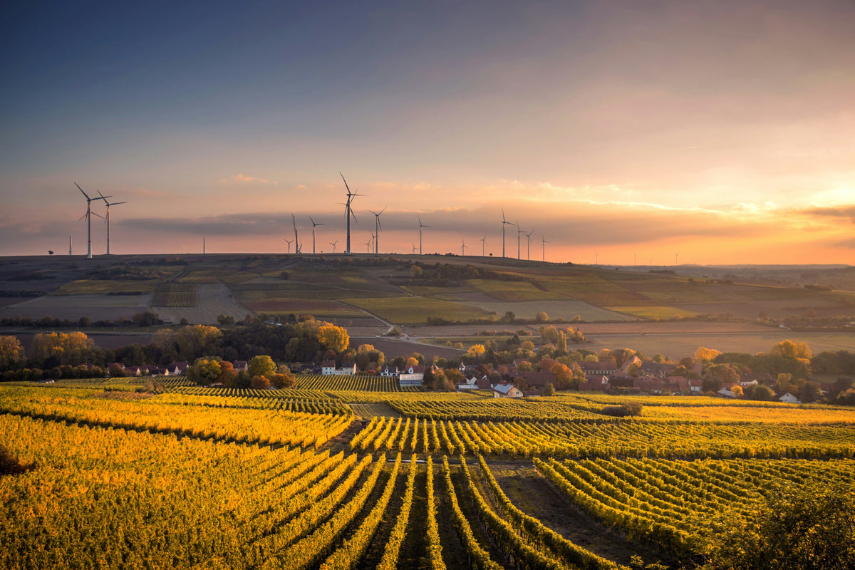 Organic Farming Demand Surges – But Farmland Growth Stalls