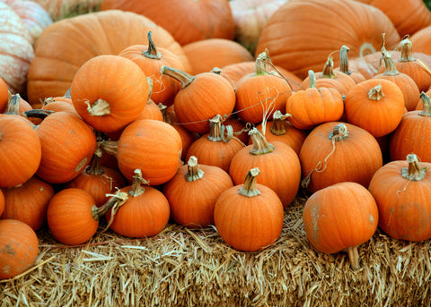 Savoury Organic Halloween Treats: Spooky Party Food Ideas
