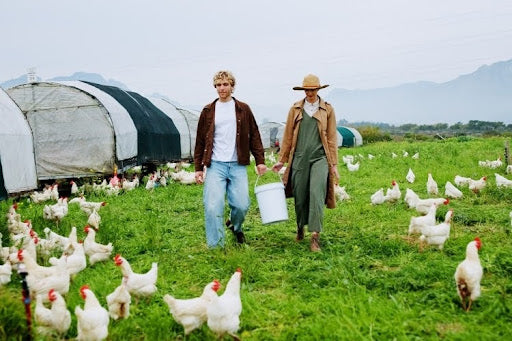 The Rising Cost of Fuel: What It Means for Farmers and the Future of Food