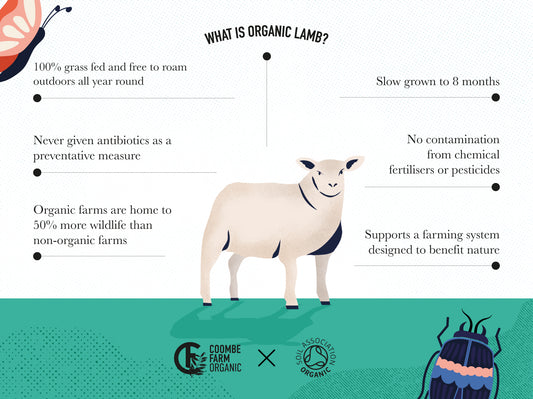 Organic Nitrate-Free Lamb Bacon Lamb The Organic Butchery