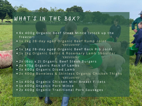 Organic Green Friday Box
