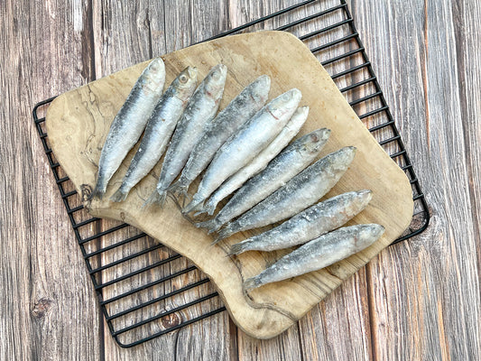 Whole Wild Atlantic Sardines