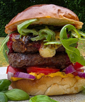 Organic Gourmet 6oz Beef Brisket Burgers Beef The Organic Butchery