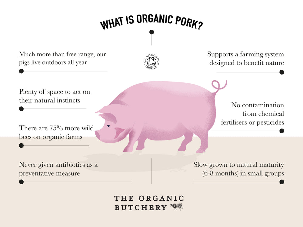 Organic Pork Cumberland Sausages Pork The Organic Butchery