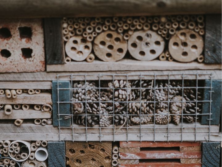 How To Build A Bug Hotel