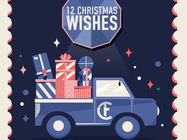  Our 12 Christmas Wishes as an Organic Institution