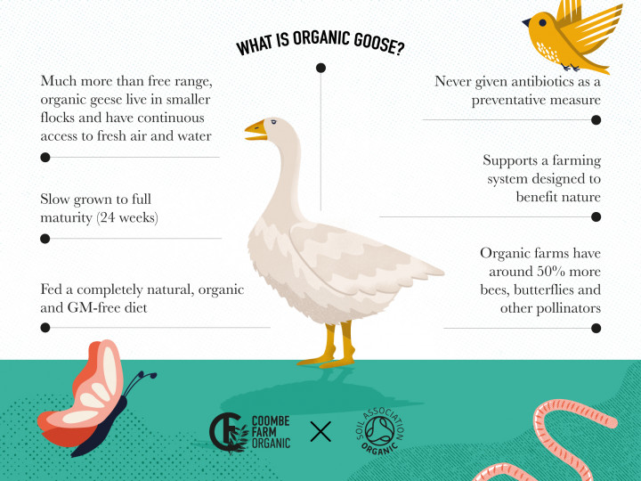 What is organic goose?