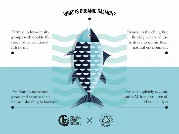 What is organic salmon?
