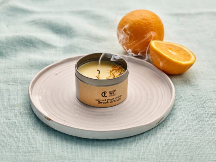 Sweet Orange Tallow & Beeswax Candle Out