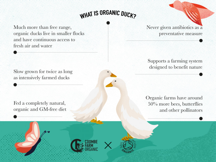 What is organic duck?