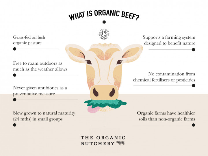What is organic Beef?