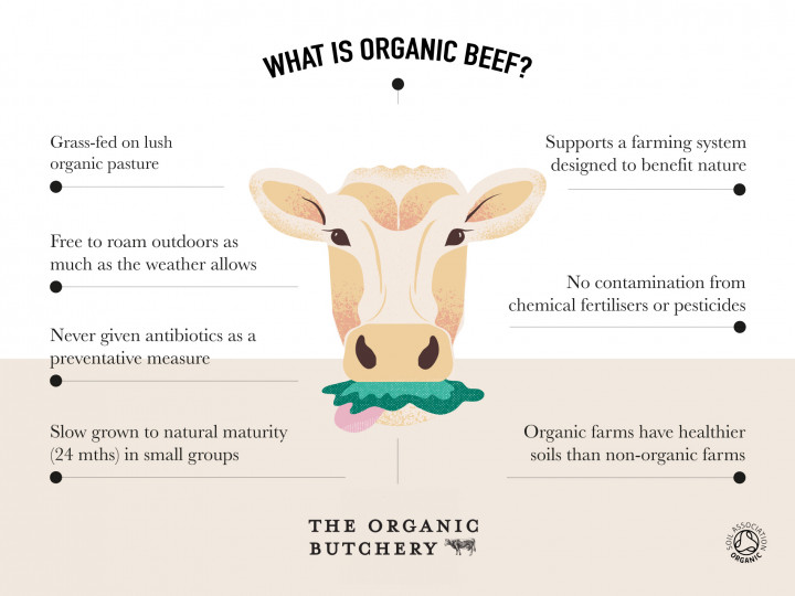 What is organic Beef?