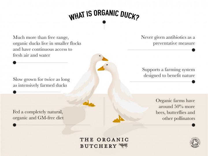 What is organic duck?